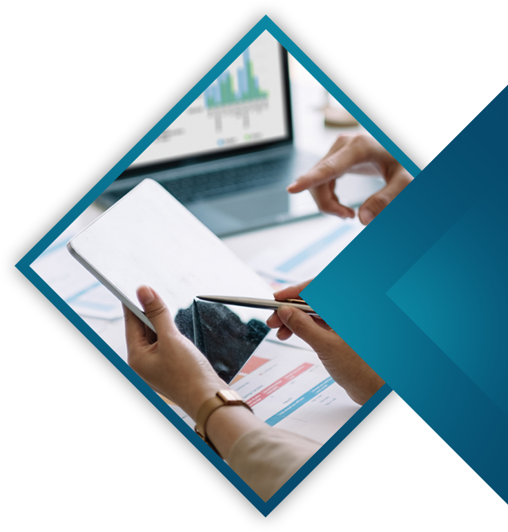 Forensic Accountants